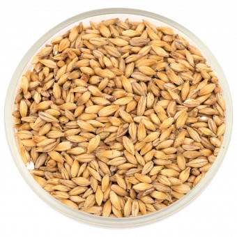 Солод Белсолод "Пилсен" 