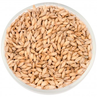 Солод Шато Вена (Vienna) 5,5 EBC  Солод Шато Вена (Vienna) 5,5 EBC