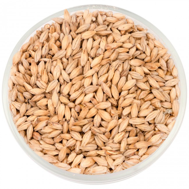 Солод Шато Вена (Vienna) 5,5 EBC 