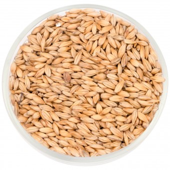 Солод Шато Кара Клэр (Cara Clair) 8 EBC  Солод Шато Кара Клэр (Cara Clair) 8 EBC