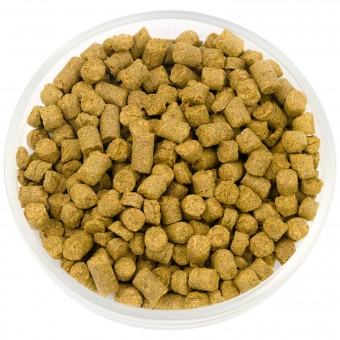 Хмель Пацифик Джем (Pacific Gem) 14,1% 50 гр. Хмель Пацифик Джем (Pacific Gem) 14,1% 50 гр.