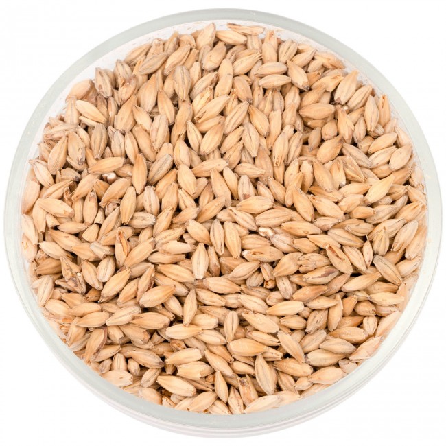 Солод Шато Пейл Эль (Pale Ale) 9.0 EBC