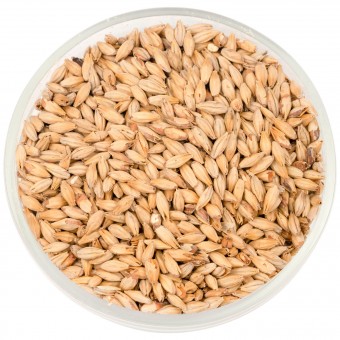 Солод Шато Эбби  (Abbey) 45 EBC  Солод Шато Эбби  (Abbey) 45 EBC