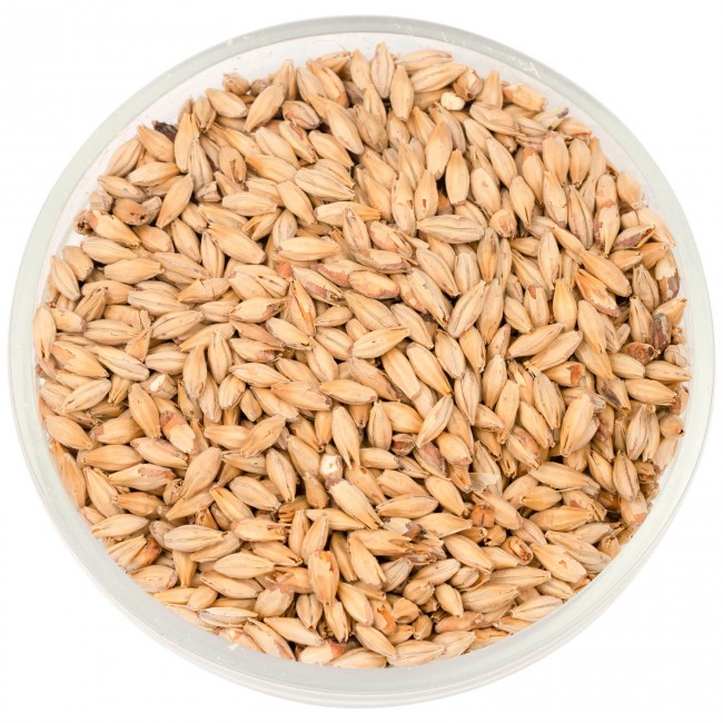 Солод Шато Эбби  (Abbey) 45 EBC 