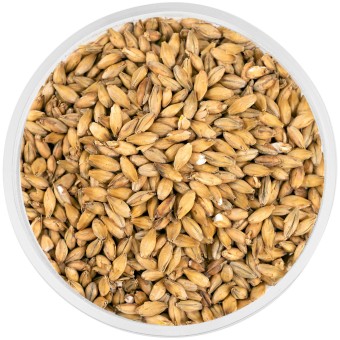 Солод Курск "Висковый" 