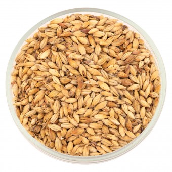 Солод Шато Мелано (Melano) 80 EBC Солод Шато Мелано (Melano) 80 EBC