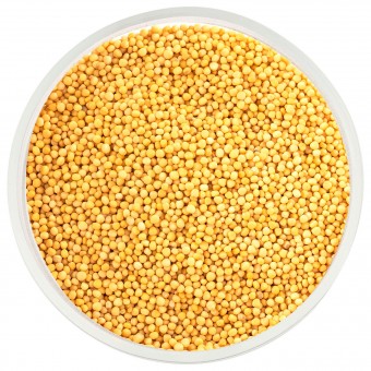 Горчица семена желтые 100 гр.