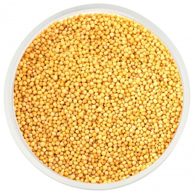 Горчица семена желтые 100 гр.