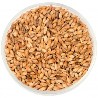 Солод Шато Кофе Светлый (CAFE LIGHT) 250 EBC  Солод Шато Кофе Светлый (CAFE LIGHT) 250 EBC