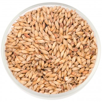 Солод Шато Бисквит (Biscuit) 50 EBC  Солод Шато Бисквит (Biscuit) 50 EBC