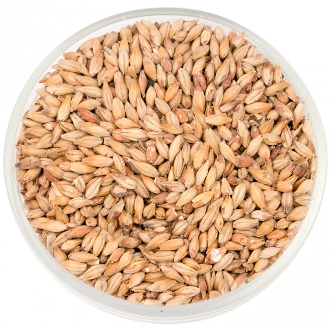 Солод Шато Бисквит (Biscuit) 50 EBC 