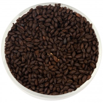 Солод Шато Блэк оф Блэк (Black of Black) 500 EBC Солод Шато Блэк оф Блэк (Black of Black) 500 EBC