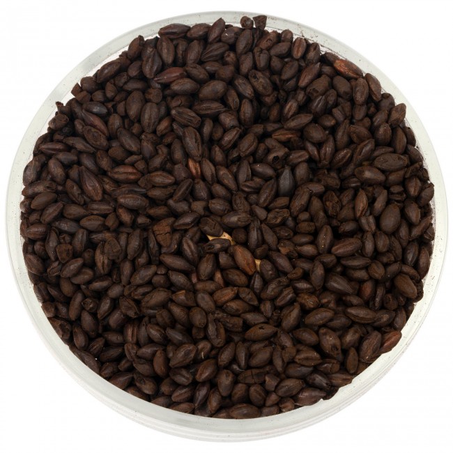 Солод Шато Блэк оф Блэк (Black of Black) 500 EBC