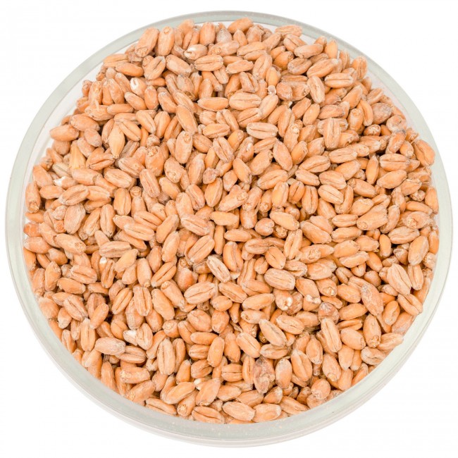 Солод Курск "Пшеничный"  