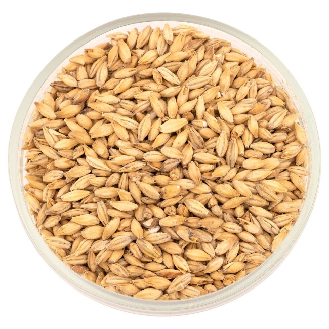 Солод Курск "Копченый" на торфе  Солод Курск "Копченый" на торфе