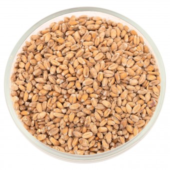 Солод Белсолод "Пшеничный" 