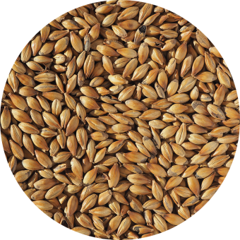 Солод Crisp Медиум Кристал (Medium Crystal) 240 EBC