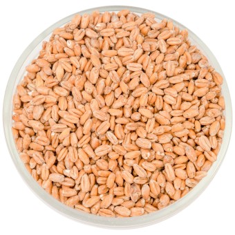 Солод Soufflet "Пшеничный"