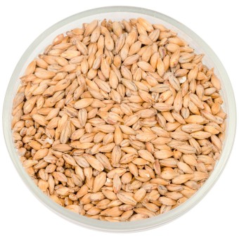 Солод Soufflet "Пэйл Эль"