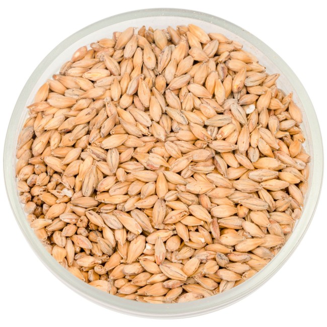 Солод Soufflet "Пэйл Эль"