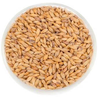 Солод Soufflet "Мюнхенский 25"