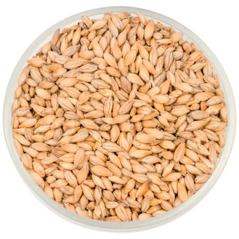 Солод Soufflet "Пилснер"