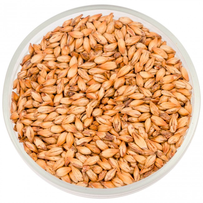 Солод Курск "Карамельный 100"  Солод Курск "Карамельный 100"