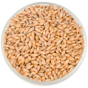 Солод Soufflet "Мюнхенский 15"