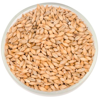 Солод Soufflet "Венский Темный 7-10"