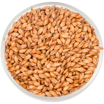 Солод Soufflet "Карамельный Мюнхенский 140-170"