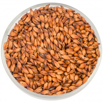 Солод Курск "Карамельный 250" 