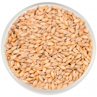 Солод Курск "Карамельный 20" 