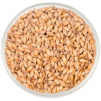 Солод Курск "Карамельный 50" 