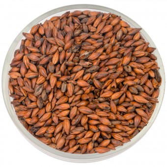 Солод Курск "Шоколадный 900"  Солод Курск "Шоколадный 900"