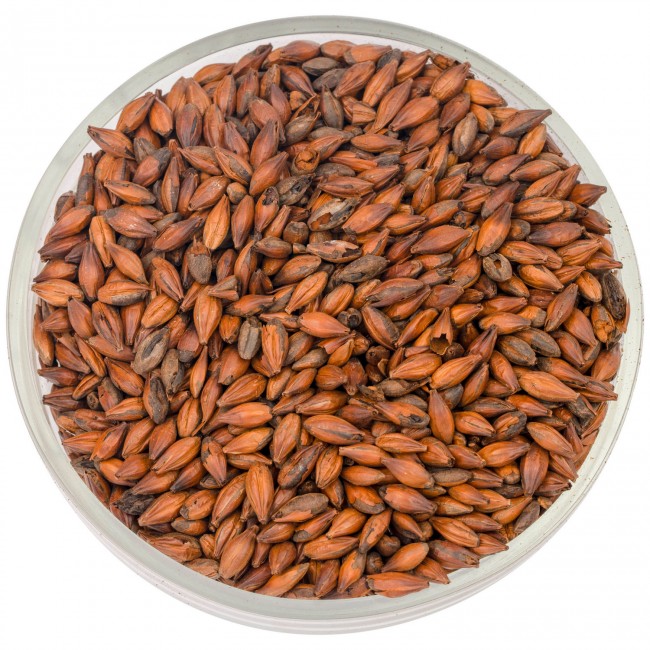 Солод Курск "Шоколадный 900"  Солод Курск "Шоколадный 900"