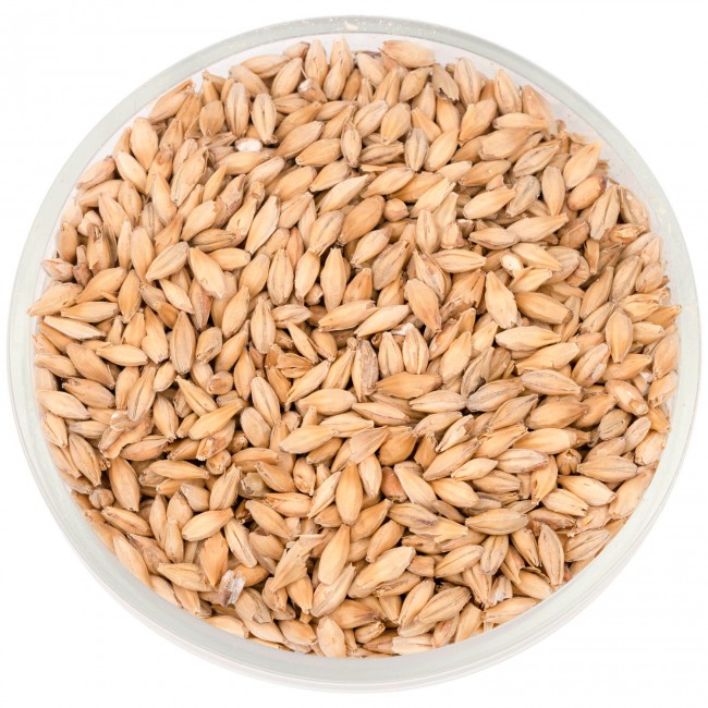 Солод Шато Пилсен (Pilsen) 2RS 3,5 EBC Солод Шато Пилсен (Pilsen) 2RS 3,5 EBC