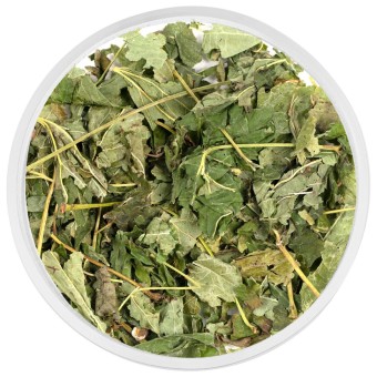 Смородина черная лист 500 гр. Смородина черная лист 500 гр.