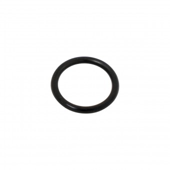 Кольцо уплотнительное заборной головки DSI